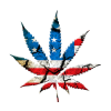 US States Take Steps to Decriminalise Marijuana