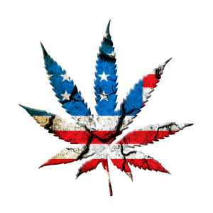 marijuana-leaf-694336_640